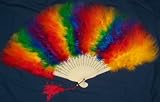 Rainbow Marabou Feather Dance Fan Salsa prop costume