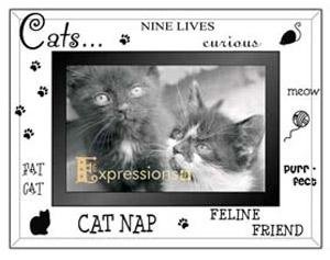 KITTY CAT LOVE etched glass EXPRESSIONS keepsake frame