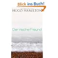 Der irische Freund: Roman