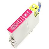Remanufactured Magenta Ink Cartridge for Epson T060320