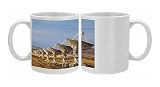 Very Large Array Photo Mugs