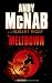 Meltdown (Boy Soldier)