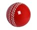 GRAY-NICOLLS Velocity Cricket Ball