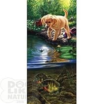 Nibbles Puzzle