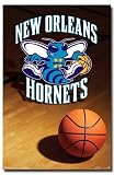 Trends New Orleans Hornets Team Logo Poster