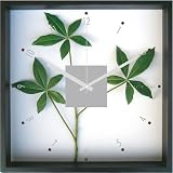 F-Style Clock　（精密な人工観葉植物・時計）Pachira glabra パキラ