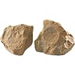 5" Canyon 100-Watt Terra-Forms Stone Speakers