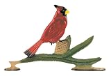 Rooftop Color 30 Cardinal Weathervane