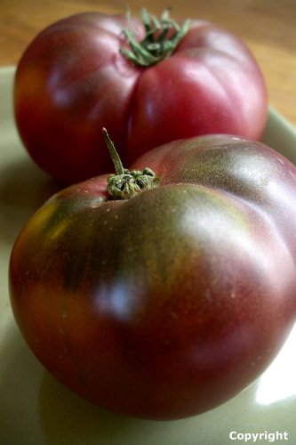 75+ Cherokee Purple Heirloom Tomato Seeds