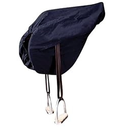 Cashel Saddle Shield [Misc.]