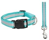  : 16 INCH - BLUE - Reflective Stripe Safety Dog COLLAR & LEAD SET