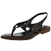 Apparel : MIA Women's Aruba T-strap Sandal