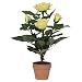 f-DECO ���[�Y�C�G���[ 30cm