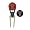Texas Tech Red Raiders