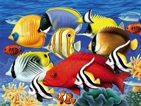 41kE1GAIsML Coral Fish Jigsaw Puzzle 550pc