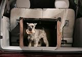 New ABO Gear Dog Digs Medium pet crate side and top opening Lightweight and portable carry bag Best Buy