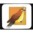 Mouse Pad with brown, garrulus, bombycilla, bird