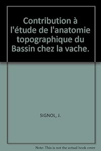 Anatomie topographique du bassin chez la vache