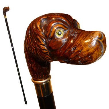 Italian Dog Cane -Spaniel-