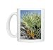 Photo Mugs of JLMO-2806 Dwarf Fan Palm - in fruit from Ardea Wildlife Pets
