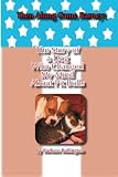 Then Along Came Barney: The Story Of A Dog Who Changed My Mind About Pitbulls
