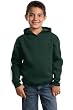 Youth Pullover Hooded Sweatshirt with Stripe