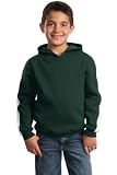Youth Pullover Hooded Sweatshirt with Stripe