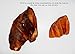 #1 Jumbo Pig Ears for Dogs. Made in the USA! All Natural Texas-Sized Large Dog Treats Pig Ears, Smoked and Delicious!! 5 Large Whole pieces from Jack's Premium.