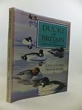 Ducks of Britain : and the northern hemisphere