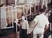 Search : Vintage Dairy Farming Film Collection DVD
