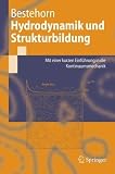 Hydrodynamik und Strukturbildung - Mit einer kurzen Einf&uuml;hrung in die Kontinuumsmechanik (Springer Lehrbuch) - Michael Bestehorn