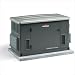 Briggs and Stratton 040302 12,000 Watt EM12 Empower Automatic Start Standby Generator