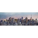 (50x144) Hank Gans Manhattan Skyline New York City Huge Wall Mural Panoramic Door Poster Art Print