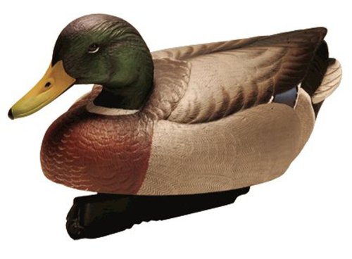 Final approach gunners high definition floating mallard…