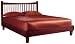 Fashion Bed Group Jakarta Queen Bed with Rails, Mahogany