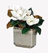 Artificial Magnolia Blooms in Crackled Gray Vase