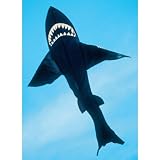 Premier Kites Black Nylon Shark Kite - 7 Foot