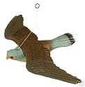 Decoy flying falcon bird of prey