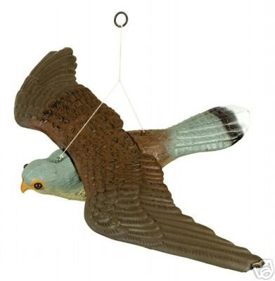 Decoy flying falcon bird of prey