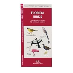 Florida Birds (Pocket Naturalist)
