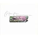 Lullabies to Violaine, Vol. 1 (Greatest Hits)