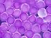 Starfish Blastula Micrograph Fertilization Photographic Poster Print, 16x12