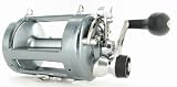 Aruba Lever Drag Reel 5BB Dual Carbon Drag 600yd 50lb