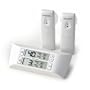 Chaney Instrument 00985 Wireless Refrigerator Freezer Thermometer Alarm Set