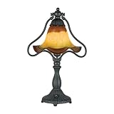 Quoizel Salamander Art Glass Desert Sunrise 1 Lt Table Lamp