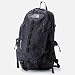 ザ・ノース・フェイス（THE NORTH FACE） バックパック（ビッグショット） メンズ