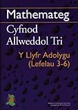 Mathemateg : cyfnod allweddol tri : y llyfr adolygu (lefelau 3-6)