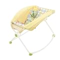 Fisher-Price Newborn Rock N Play Sleeper