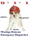 9-1-1: Poetic Musings of an Emergency Dispatcher 9-1-1: Poetic Musings of an Emergency Dispatcher