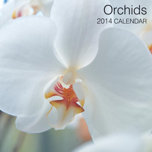 2014 Calendar: Orchids: 12-Month Calendar Featuring Stunning Photographs Of Beautiful Orchids